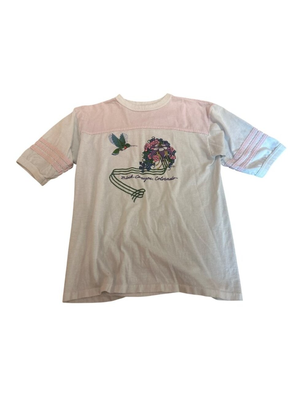 Vintage Alore Colorado Graphic T-Shirt L 1983 Black Canyon Pink Hummingbird